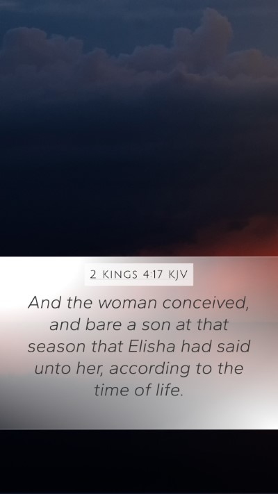 2 Kings 4:17 Explained