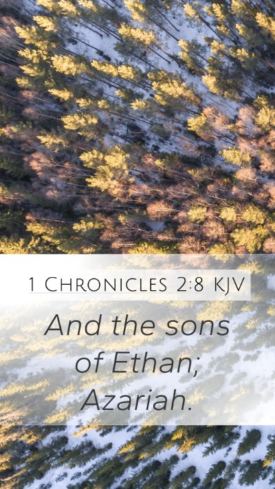 1 Chronicles 2:8 Explained