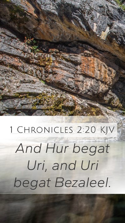 1 Chronicles 2:20 Explained