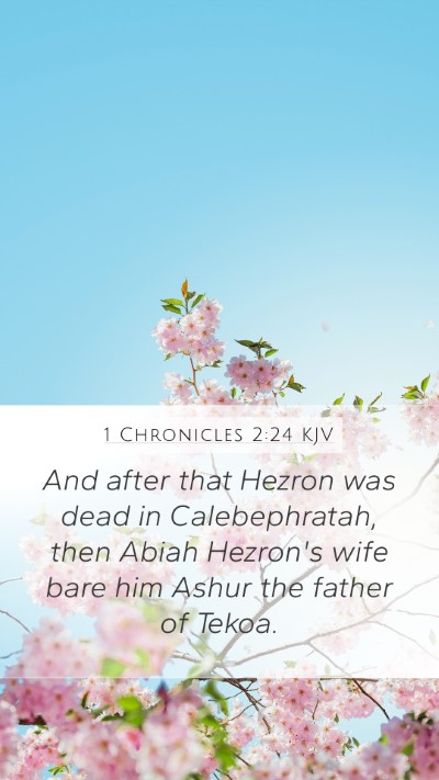 1 Chronicles 2:24 Explained