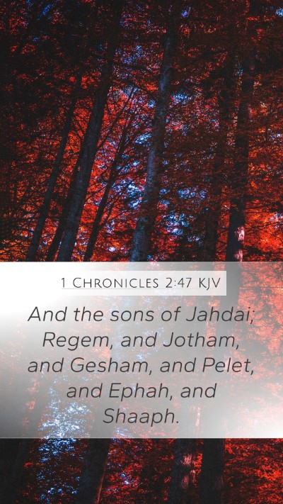 1 Chronicles 2:47 Explained