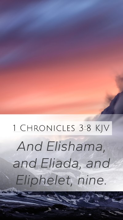 1 Chronicles 3:8 Explained