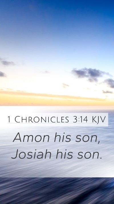 1 Chronicles 3:14 Explained