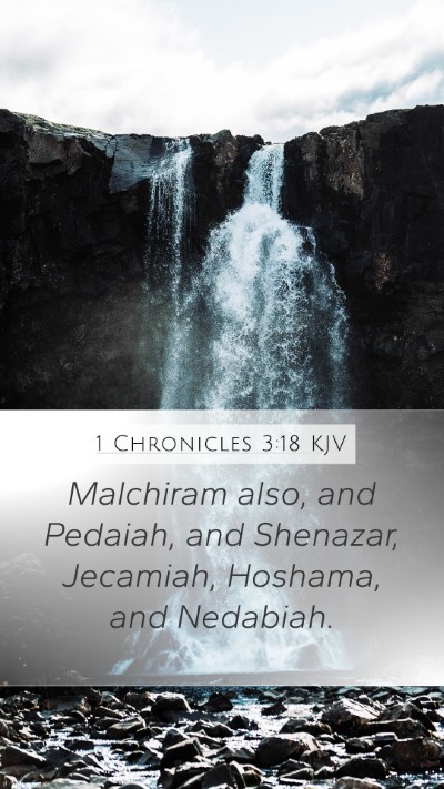 1 Chronicles 3:18 Explained