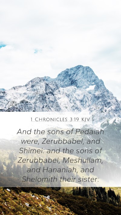 1 Chronicles 3:19 Explained