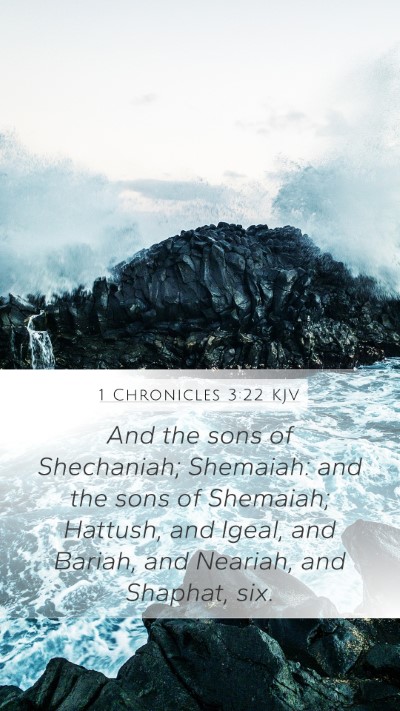 1 Chronicles 3:22 Explained