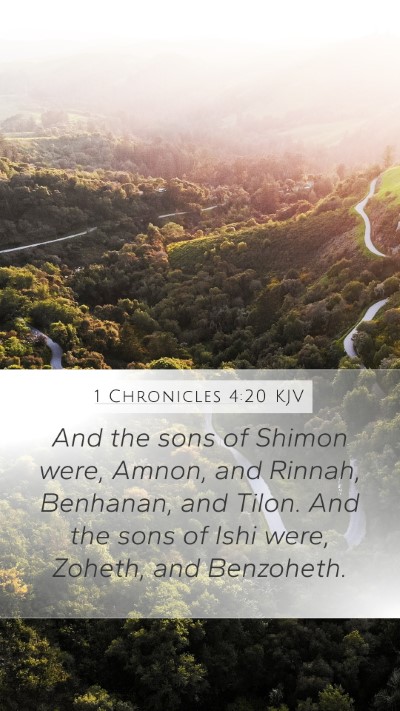 1 Chronicles 4:20 Explained