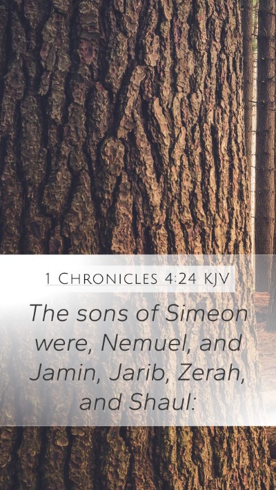 1 Chronicles 4:24 Explained