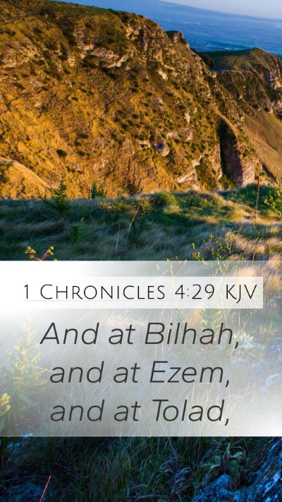 1 Chronicles 4:29 Explained