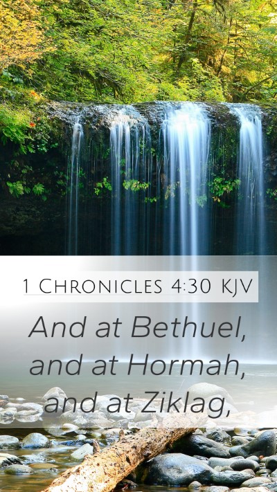 1 Chronicles 4:30 Explained