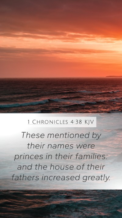 1 Chronicles 4:38 Explained