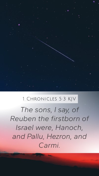 1 Chronicles 5:3 Explained