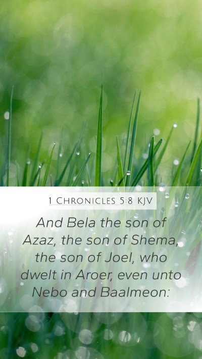 1 Chronicles 5:8 Explained