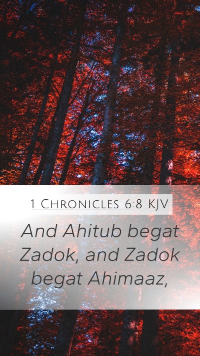 1 Chronicles 6:8 Explained