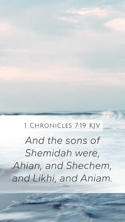 1 Chronicles 7:19 Explained