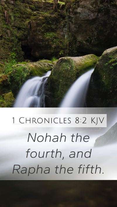 1 Chronicles 8:2 Explained