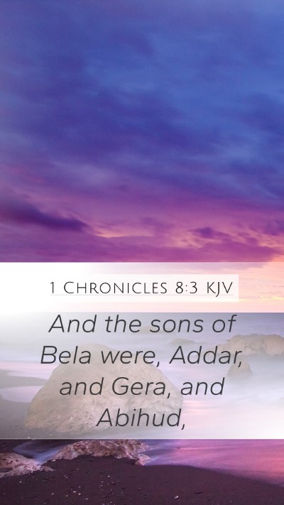 1 Chronicles 8:3 Explained