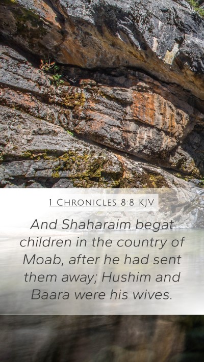 1 Chronicles 8:8 Explained