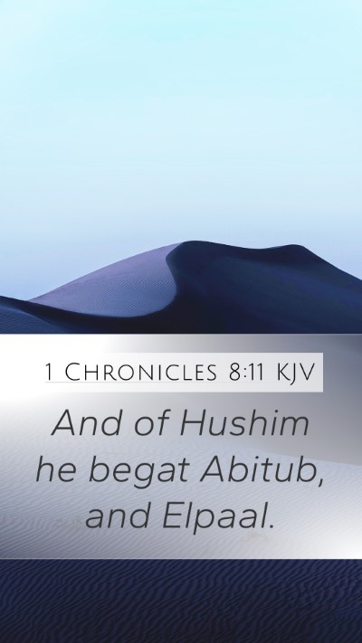 1 Chronicles 8:11 Explained