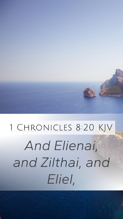 1 Chronicles 8:20 Explained