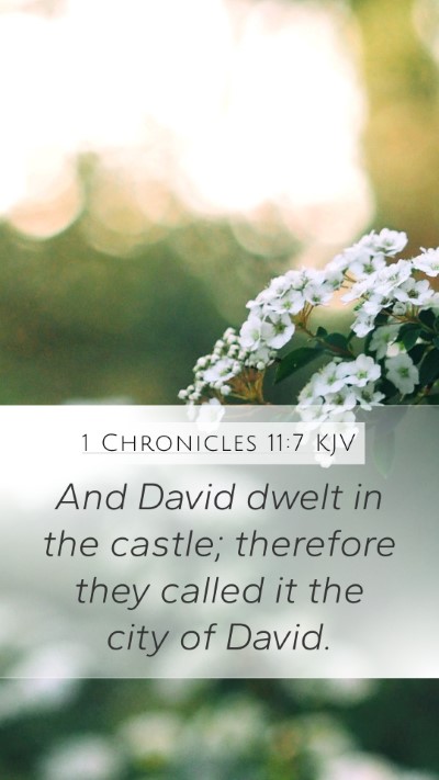 1 Chronicles 11:7 Explained