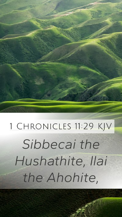 1 Chronicles 11:29 Explained