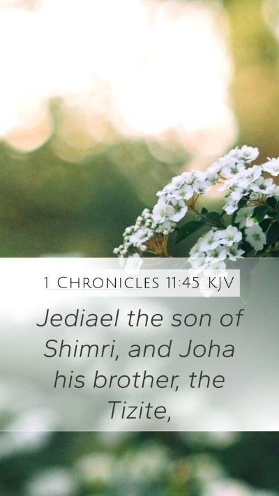 1 Chronicles 11:45 Explained