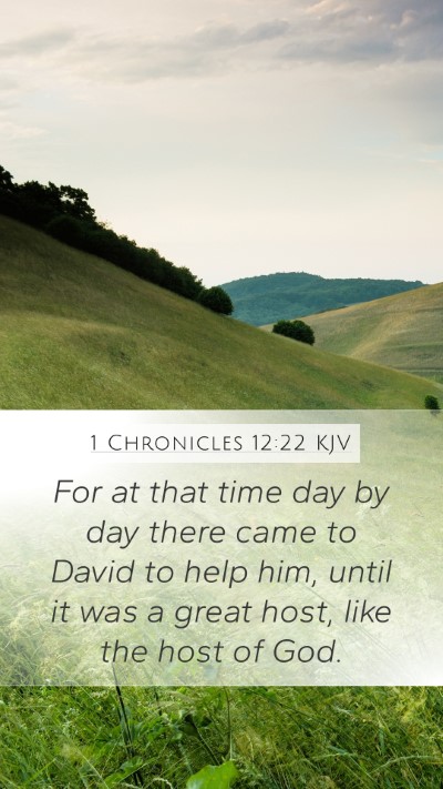 1 Chronicles 12:22 Explained