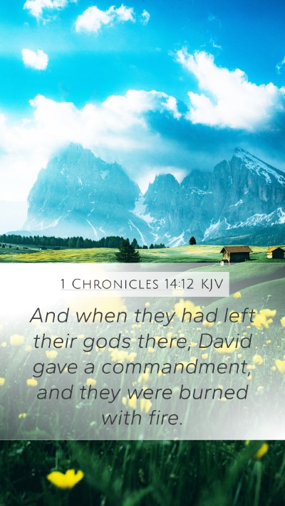 1 Chronicles 14:12 Explained