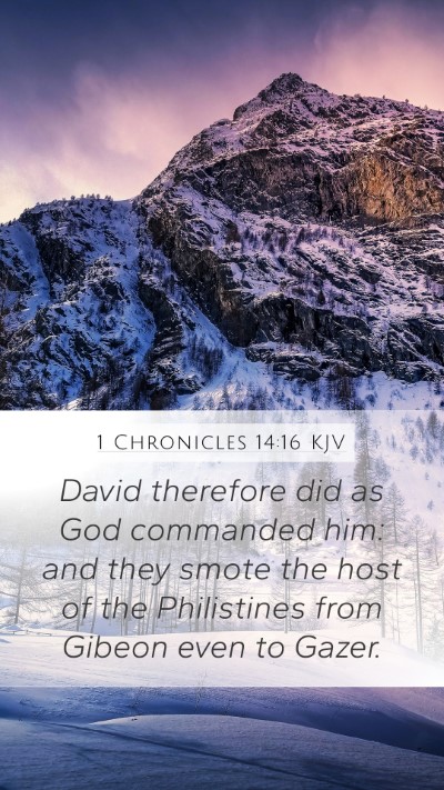 1 Chronicles 14:16 Explained