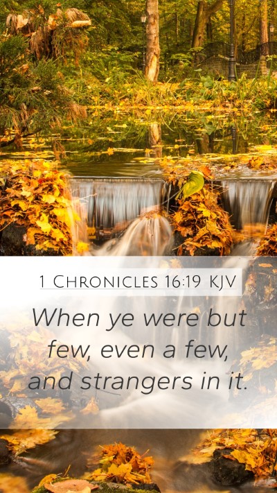 1 Chronicles 16:19 Explained