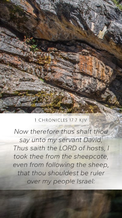 1 Chronicles 17:7 Explained