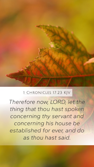 1 Chronicles 17:23 Explained