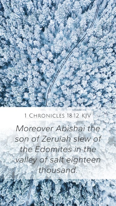 1 Chronicles 18:12 Explained