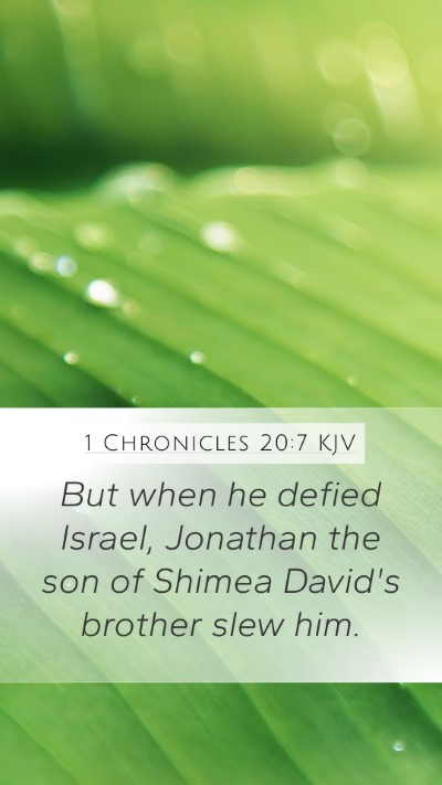 1 Chronicles 20:7 Explained