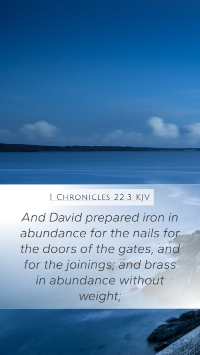 1 Chronicles 22:3 Explained