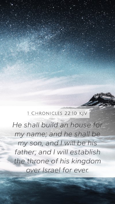 1 Chronicles 22:10 Explained