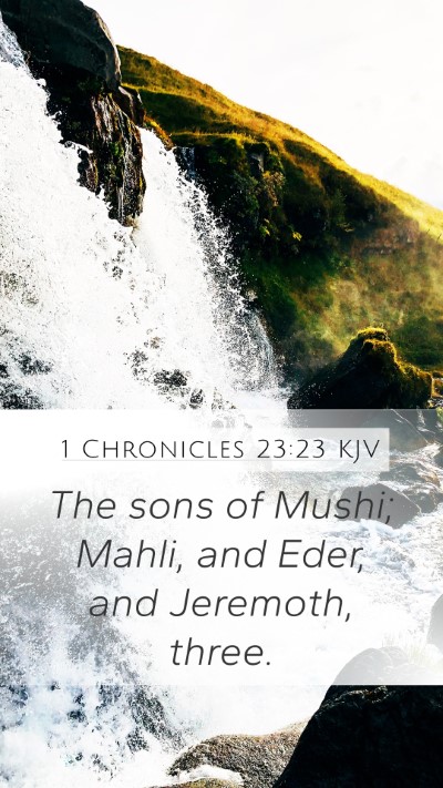 1 Chronicles 23:23 Explained