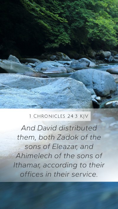 1 Chronicles 24:3 Explained