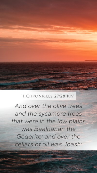 1 Chronicles 27:28 Explained