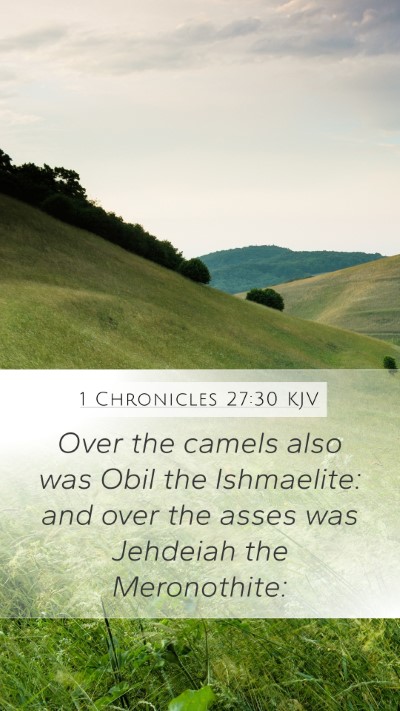 1 Chronicles 27:30 Explained