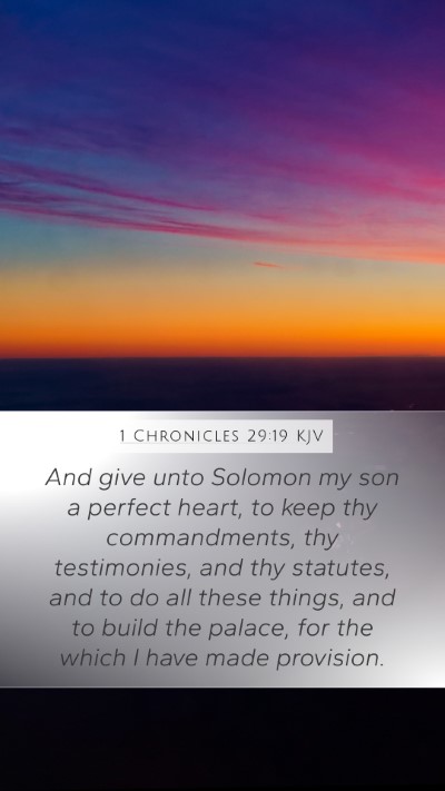 1 Chronicles 29:19 Explained