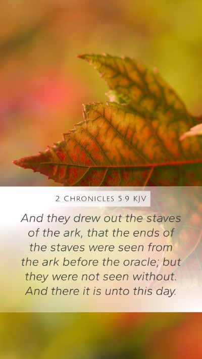 2 Chronicles 5:9 Explained