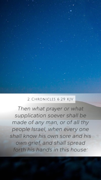 2 Chronicles 6:29 Explained