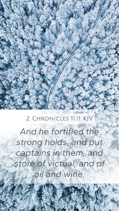 2 Chronicles 11:11 Explained