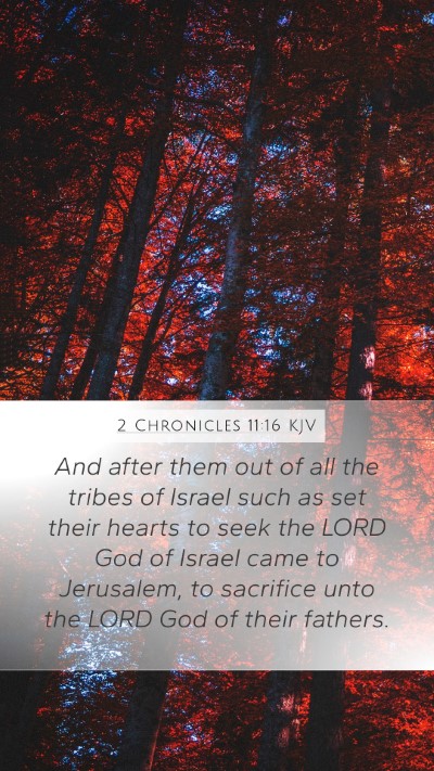 2 Chronicles 11:16 Explained