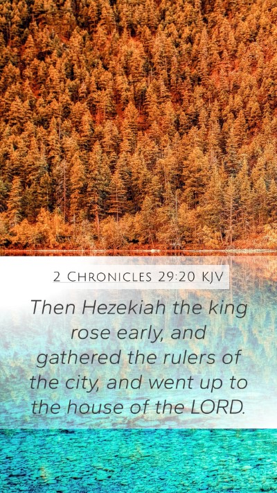 2 Chronicles 29:20 Explained