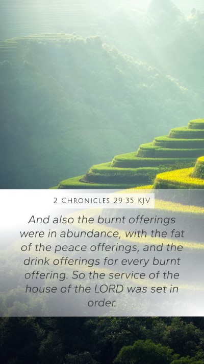 2 Chronicles 29:35 Explained