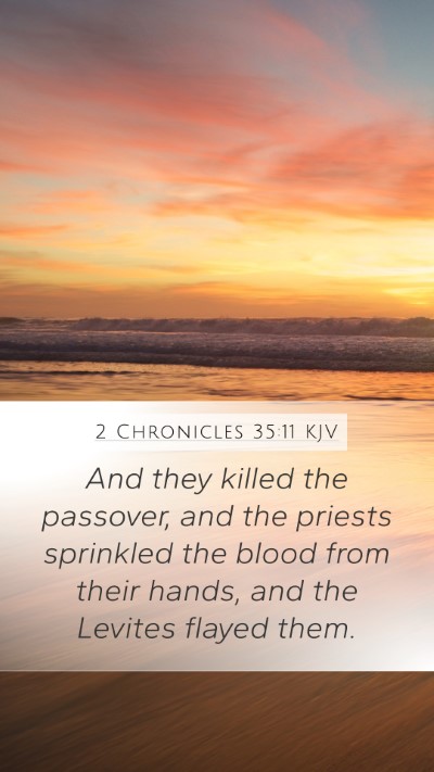 2 Chronicles 35:11 Explained