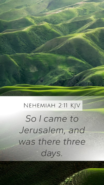 Nehemiah 2:11 Explained